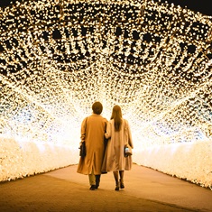 �i�C�g�^���[��