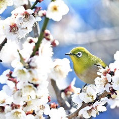 �����U����