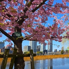 �����U����