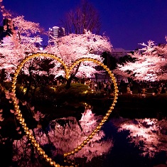 �����U����