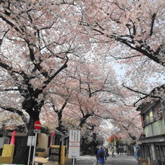 �����U����