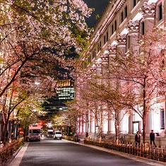 �����U����