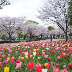 �����U����