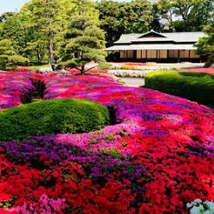 �����U����