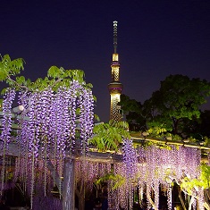 �����U����