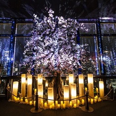 �i�C�g�^���[��