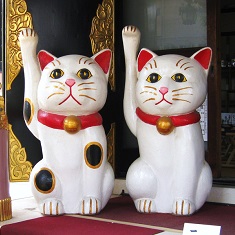 �p���[�X�|�b�g��