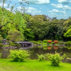 �K�[�f����