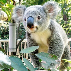 25�`45�ˁ@��������