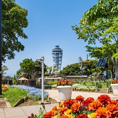 �_�ސ�U����