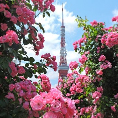 �����U����