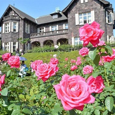 �K�[�f����