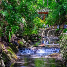 �����U����