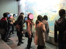 葛西臨海水族園