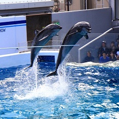 水族館♪