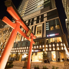 東京散歩♪