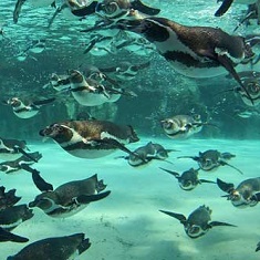 水族館♪