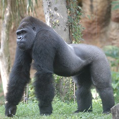 動物園♪