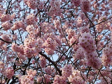 ֊ic䉑j