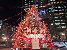クリスマスツリー(赤坂サカス)