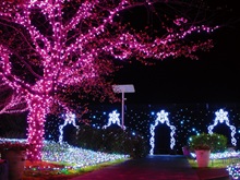 亀ヶ岡広場会場