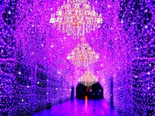 江の島サムエル・コッキング苑