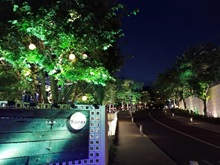 �T�J�X��i�ԍ�T�J�X�j