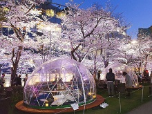 ���i�~�b�h�^�E���E�K�[�f���j