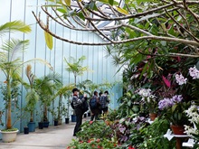 温室(植物園)