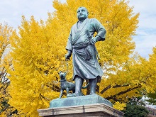 西郷隆盛像&イチョウ(上野公園)