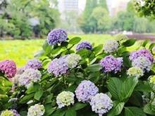 �A�W�T�C�i�s�E�r�j