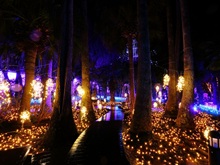 �]�̓��T���G���E�R�b�L���O��