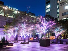 �C���~�l�[�V���� (���ޓ��{��)