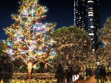 �c���[�i�����~�b�h�^�E���j