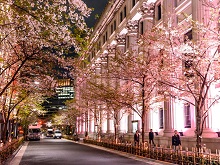 ���i�]�ˍ��ʂ�j