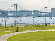 レインボーブリッジ(豊洲ぐるり公園)