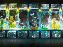 �v���W�F�N�V�����}�b�s���O