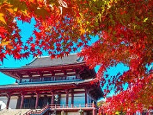 ���㎛���g�t