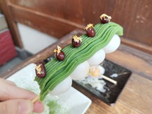 �������񂾂�