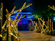 �����_��