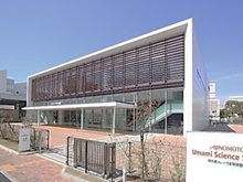 ���̑f�O���[�v���ܖ��̌���