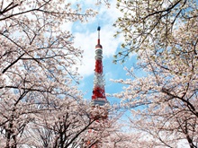 �����^���[����