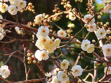 �~�i�k�̊ی����j