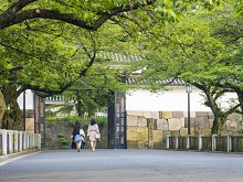 �c����i�k�̊ی����j