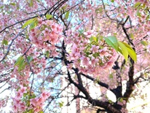 �����i����O��m���뉀�j