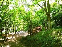 ���݂��J�i�Ō����j