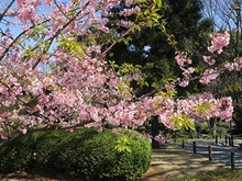 �����i����O��m���뉀�j