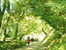 成田山公園