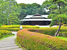 諏訪の茶屋(皇居東御苑)