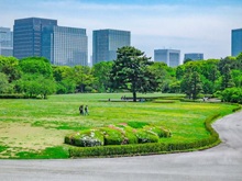 大芝生(皇居東御苑)